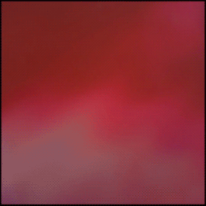 Visions Playlist