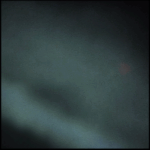 Jessica Steuart-Hoyler Playlist