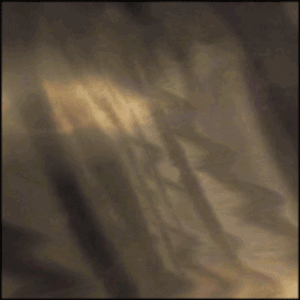 Venus Playlist
