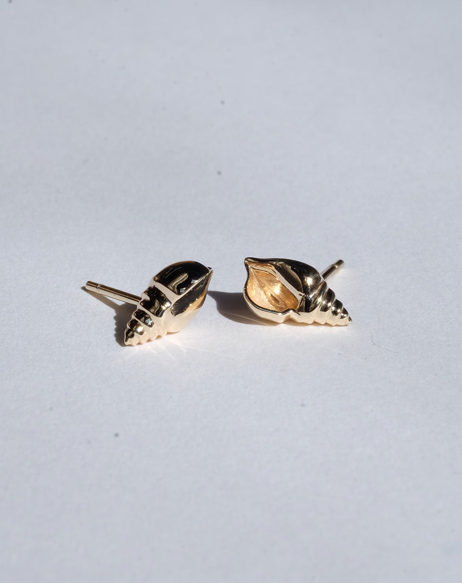 Conch Stud Earrings | 23kt Gold Plated