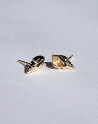 Conch Stud Earrings | 9ct Yellow Gold