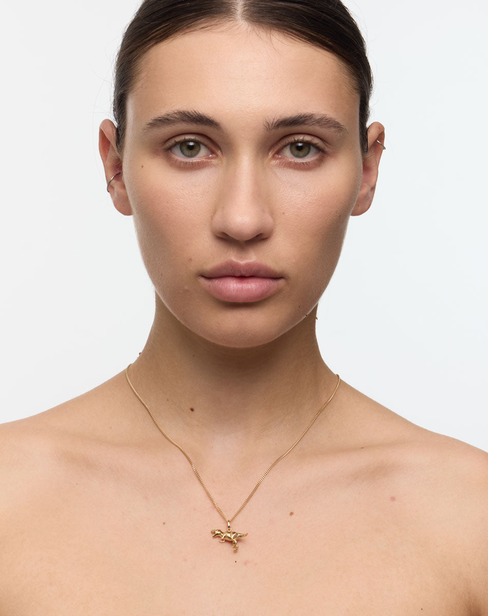 Woman wearing a gold necklace with a dinosaur pendant 