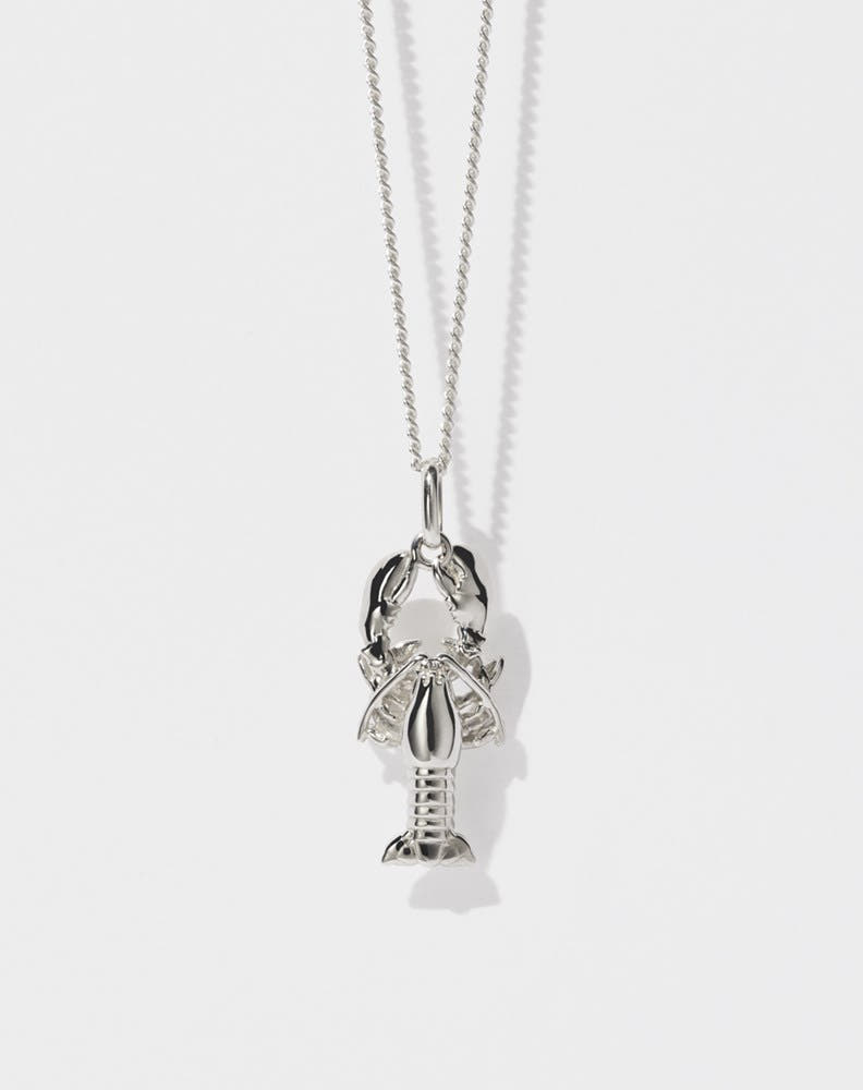 A sterling silver lobster charm necklace with a fine chain