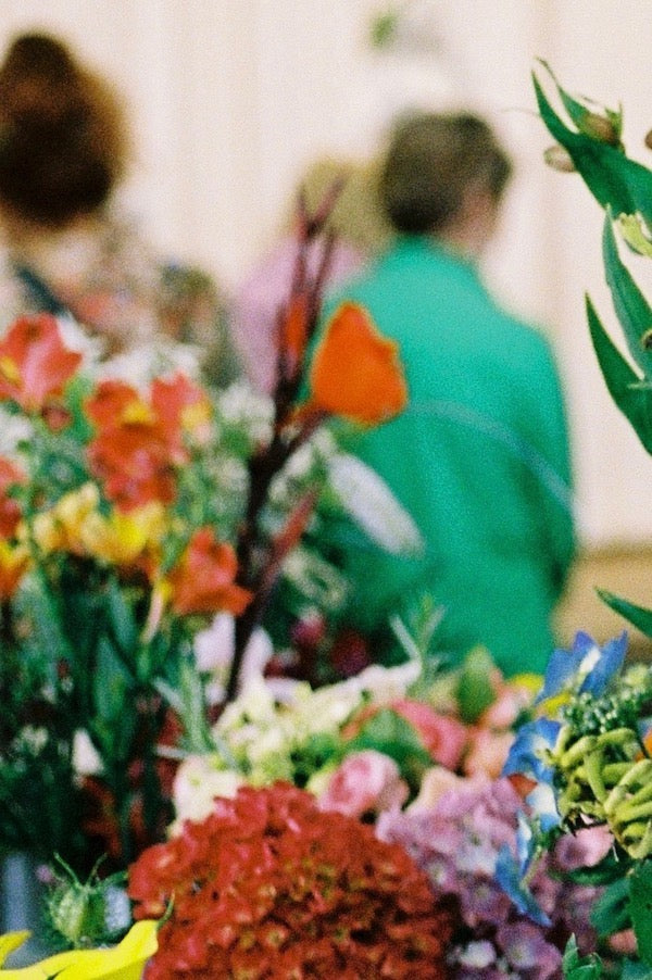 Photography by Ophelia
