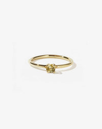 Micro Round Ring | 9ct Yellow Gold