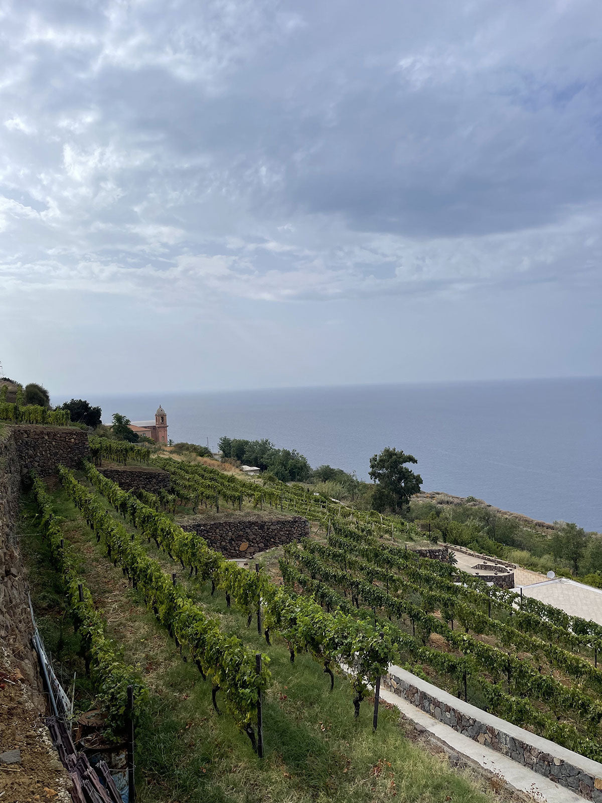 Cantine Colosi winery