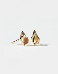 Conch Stud Earrings | 9ct Yellow Gold