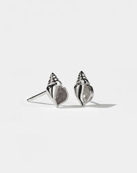 Conch Stud Earrings | Sterling Silver