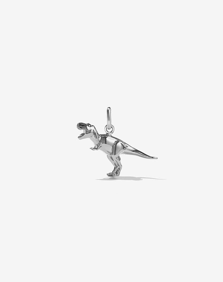 Meadowlark T-rex Dinosaur Charm in Sterling Silver
