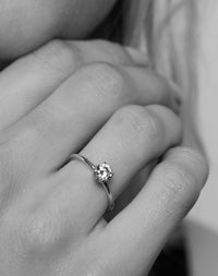 Signature Solitaire Ring | 14ct White Gold