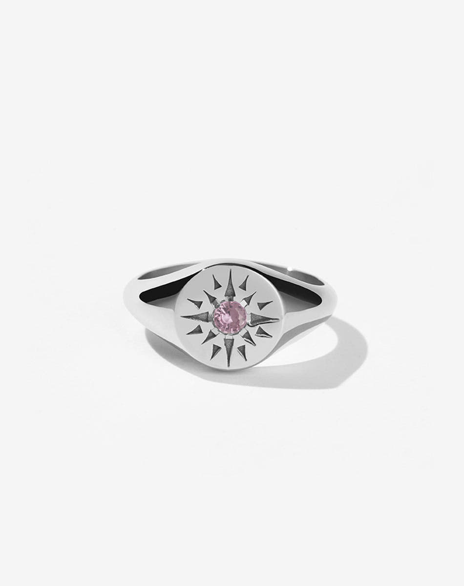 Ursa Signet Ring | Sterling Silver