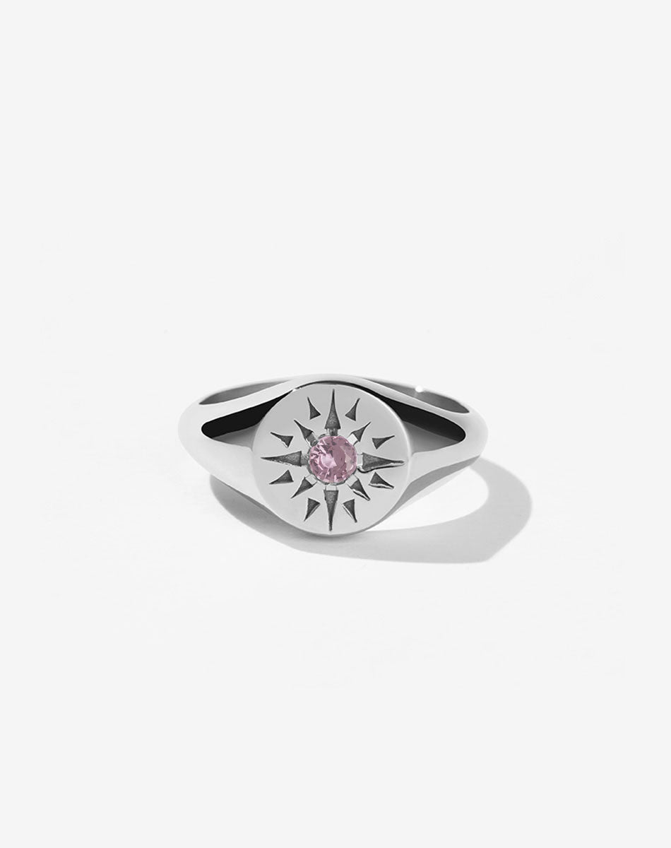 Ursa Signet Ring | Sterling Silver