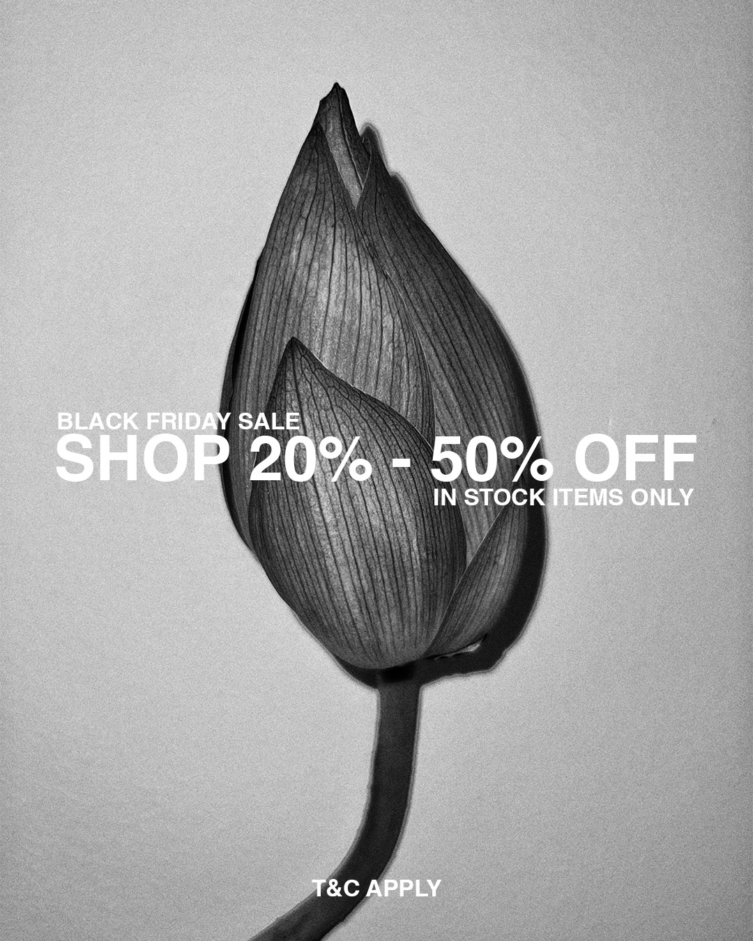 Meadowlark Black Friday Sale