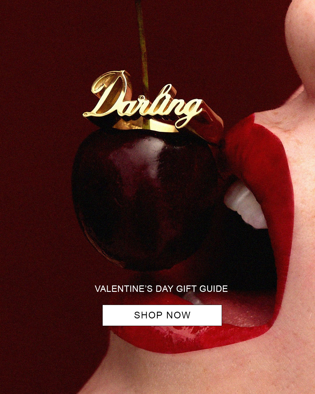 Meadowlark Valentine's Day Gift Guide