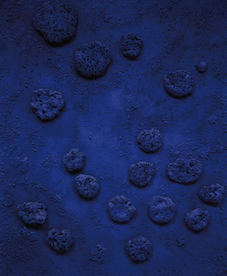 Blue Agreement by Yves Klein