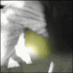 Sunday morning spotify playlist motion series 5