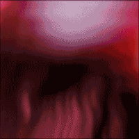 Showroom spotify playlist motion series 1