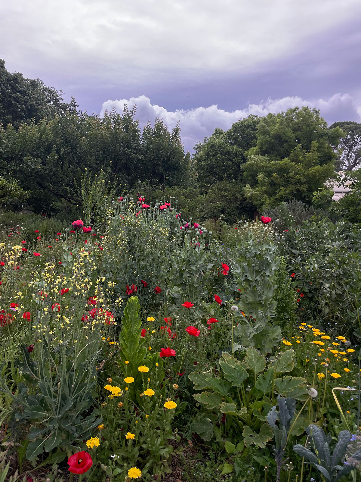 Heide Gardens